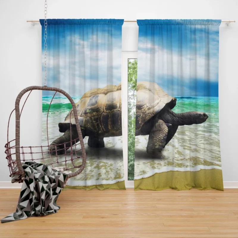 Tortoise Wisdom Steady Journey Curtain