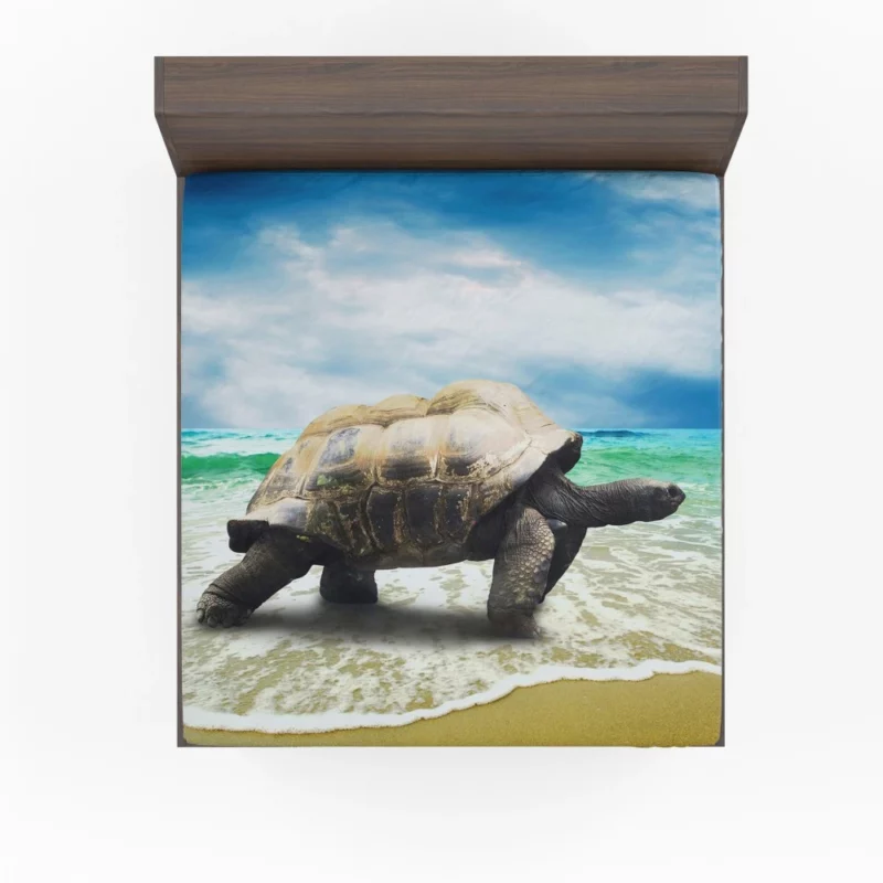 Tortoise Wisdom Steady Journey Fitted Sheet 1