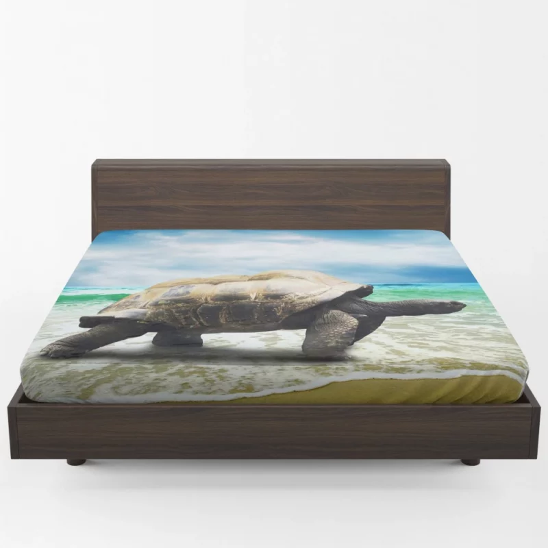 Tortoise Wisdom Steady Journey Fitted Sheet