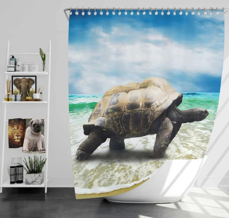 Tortoise Wisdom Steady Journey Shower Curtain