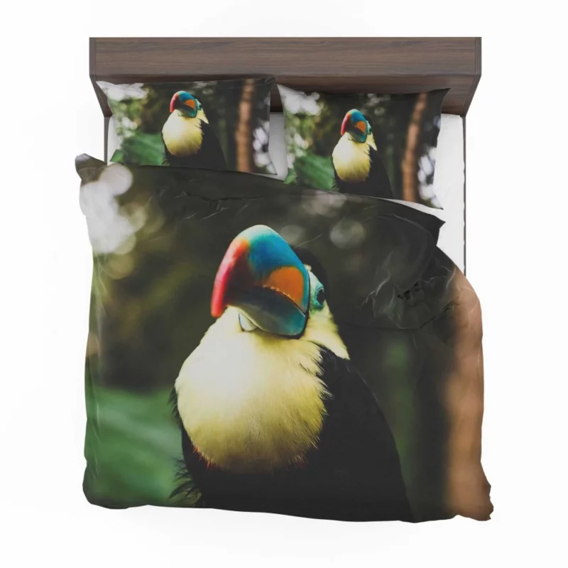 Toucan Colorful Beak Tropical Charm Bedding Set 1