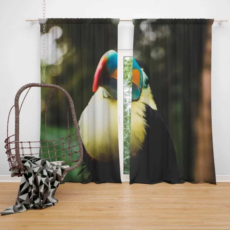 Toucan Colorful Beak Tropical Charm Curtain