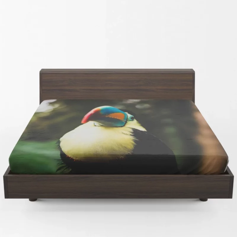 Toucan Colorful Beak Tropical Charm Fitted Sheet