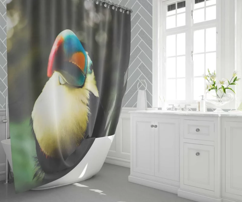 Toucan Colorful Beak Tropical Charm Shower Curtain 1