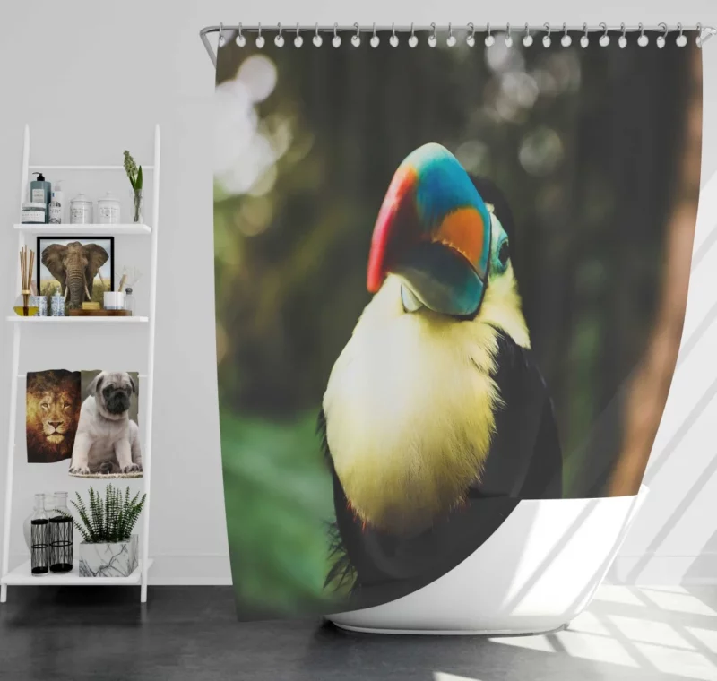 Toucan Colorful Beak Tropical Charm Shower Curtain