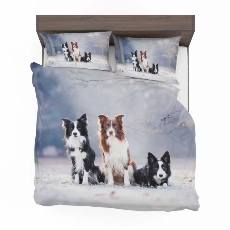 Trio of Agile Border Collies Bedding Set 1