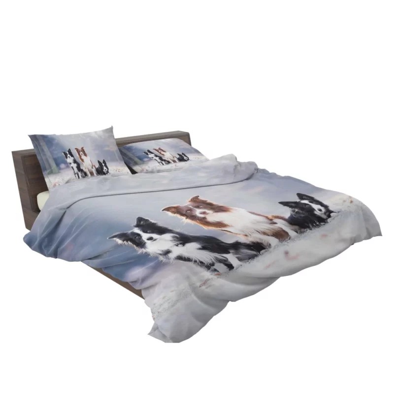 Trio of Agile Border Collies Bedding Set 2