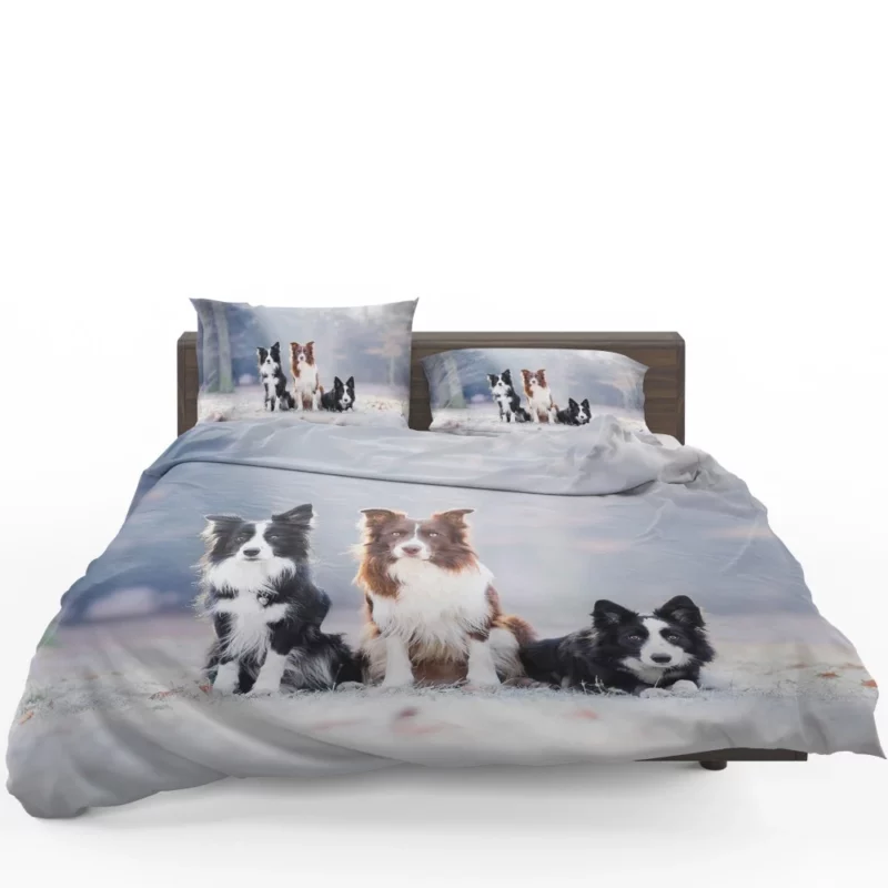 Trio of Agile Border Collies Bedding Set