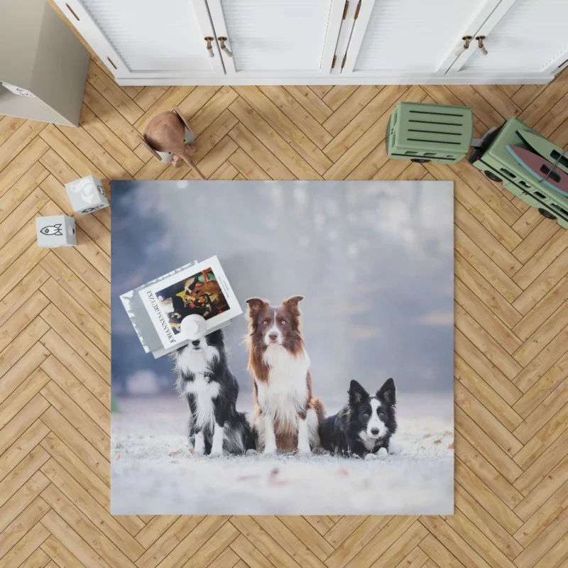 Trio of Agile Border Collies Rug