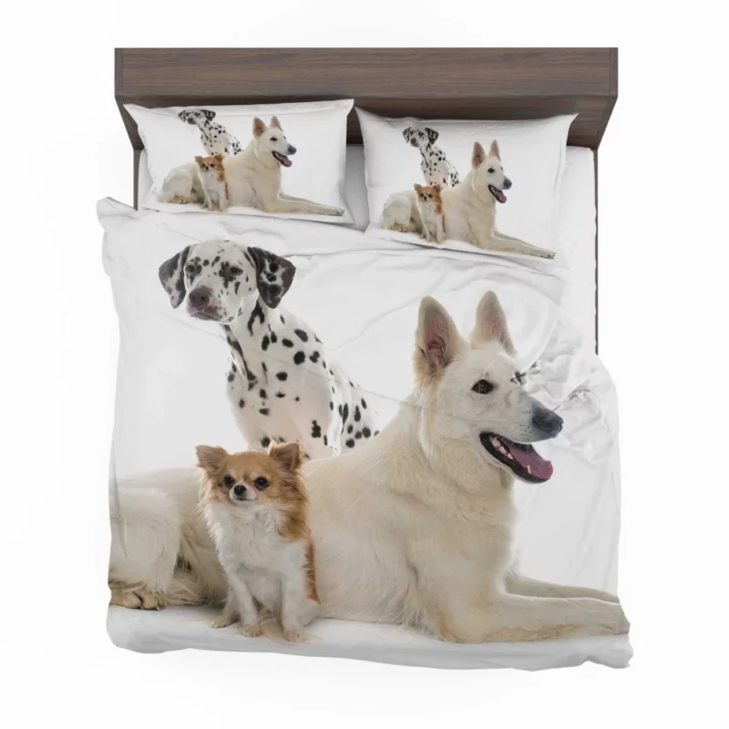 Trio of Canine Companions Unlikely Friends Bedding Set 1