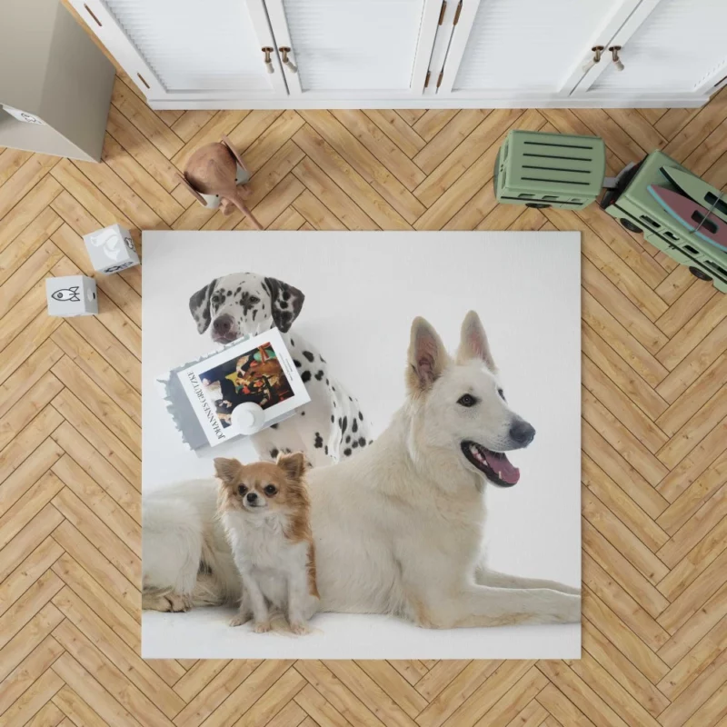 Trio of Canine Companions Unlikely Friends Rug