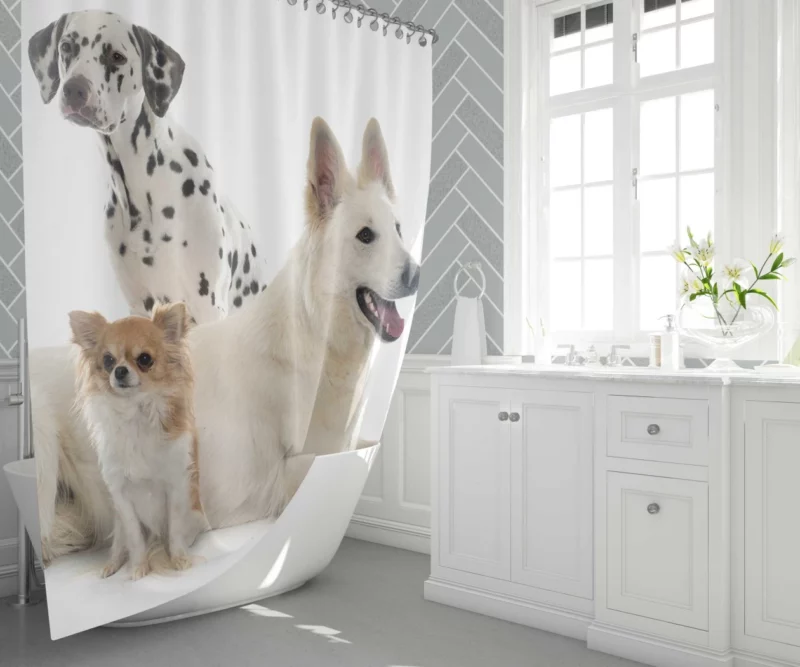 Trio of Canine Companions Unlikely Friends Shower Curtain 1