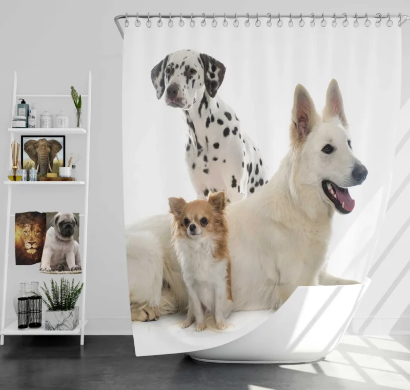 Trio of Canine Companions Unlikely Friends Shower Curtain