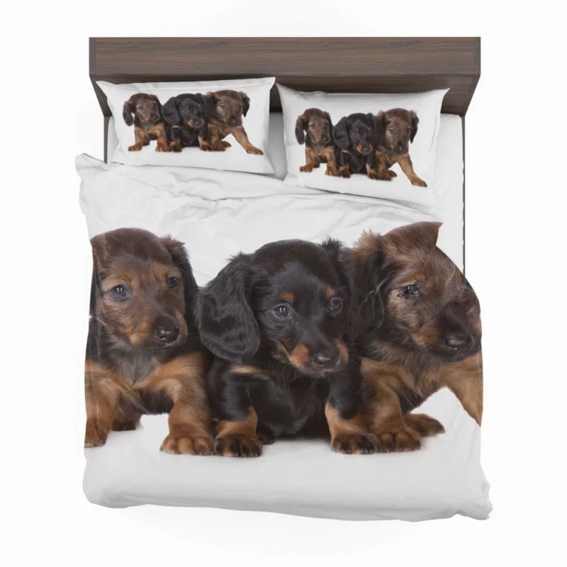 Trio of Dachshund Puppies Playful Trio Bedding Set 1