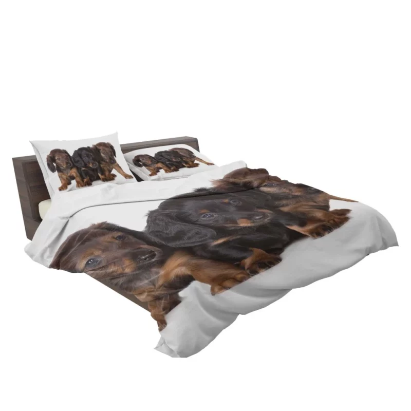 Trio of Dachshund Puppies Playful Trio Bedding Set 2