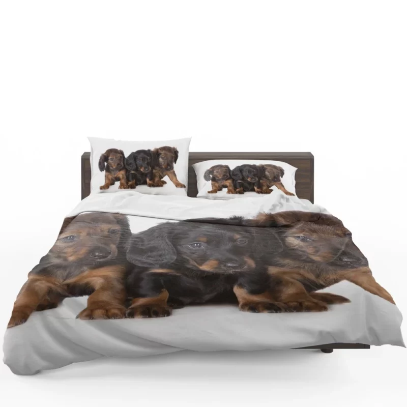 Trio of Dachshund Puppies Playful Trio Bedding Set