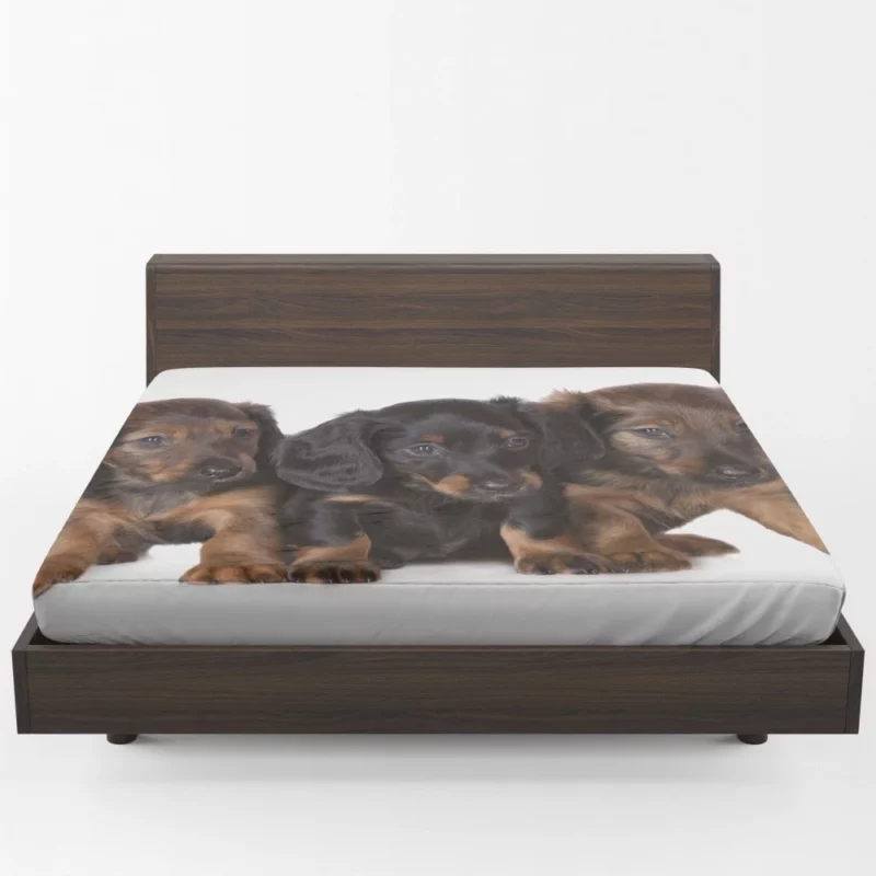 Trio of Dachshund Puppies Playful Trio Fitted Sheet