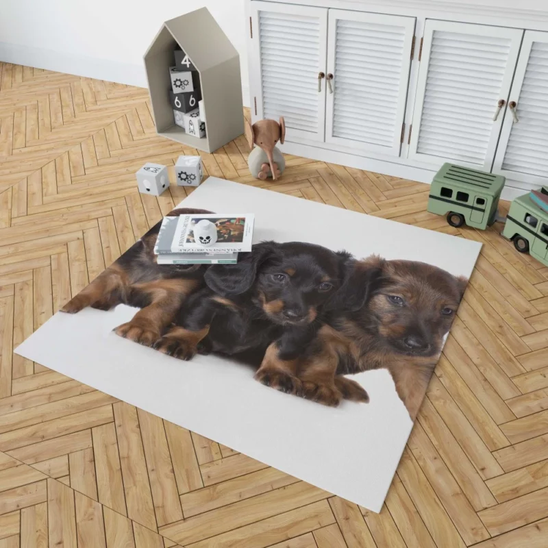 Trio of Dachshund Puppies Playful Trio Rug 1