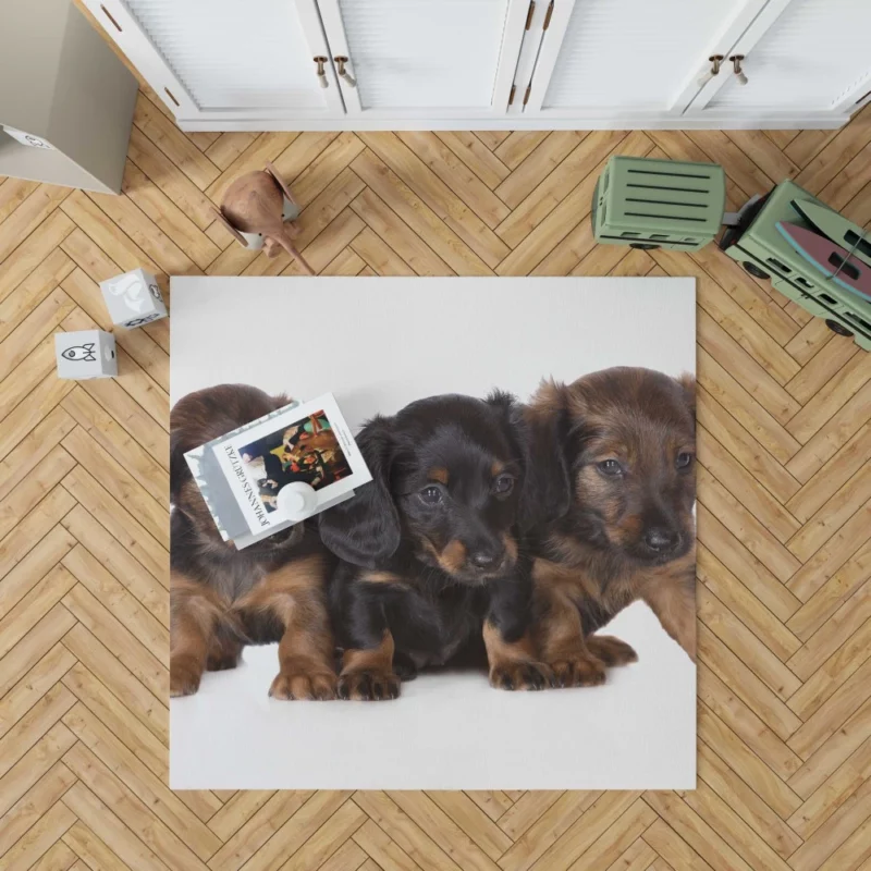 Trio of Dachshund Puppies Playful Trio Rug