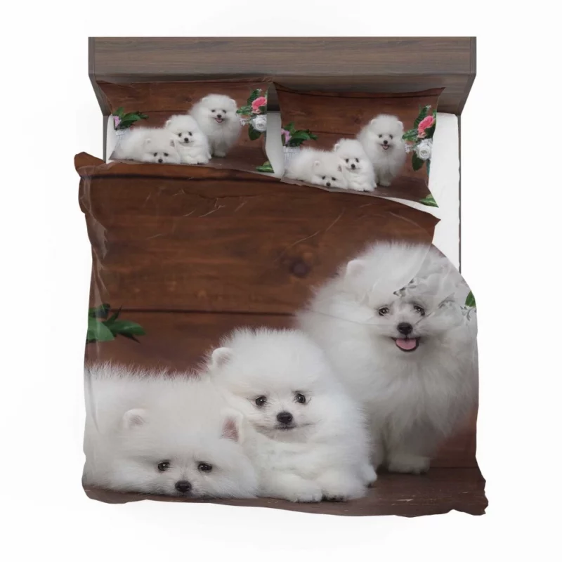 Trio of Pomeranian Puppies Fuzzy Joy Bedding Set 1