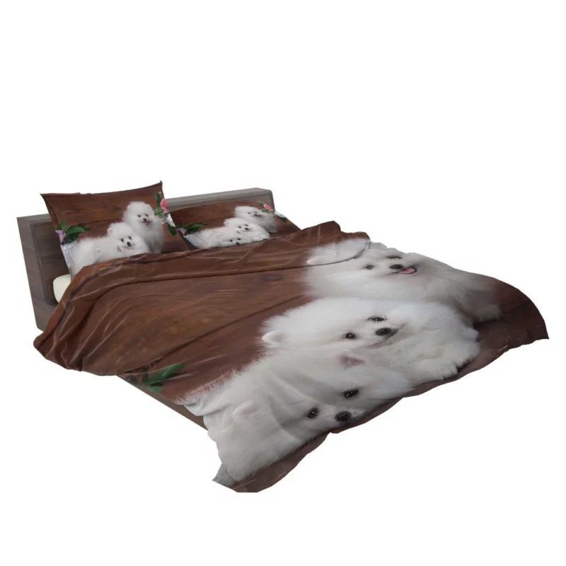 Trio of Pomeranian Puppies Fuzzy Joy Bedding Set 2