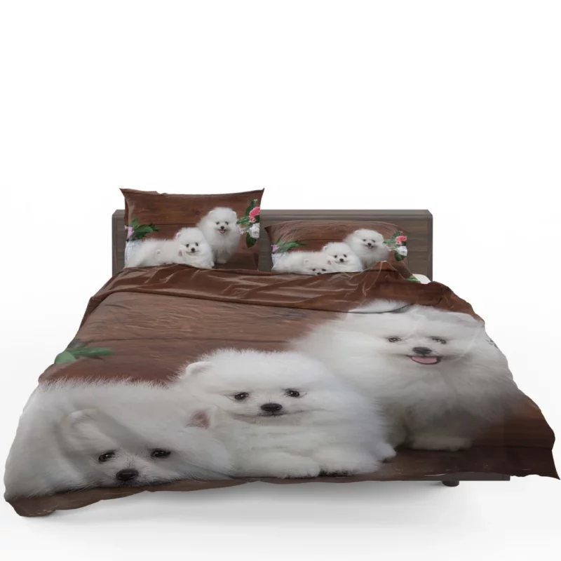 Trio of Pomeranian Puppies Fuzzy Joy Bedding Set