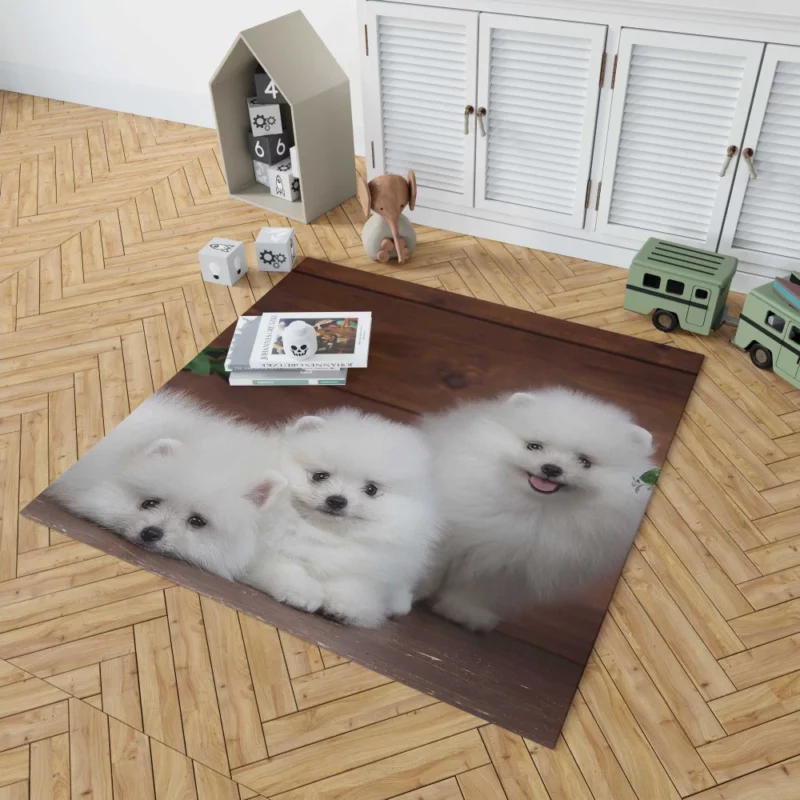 Trio of Pomeranian Puppies Fuzzy Joy Rug 1