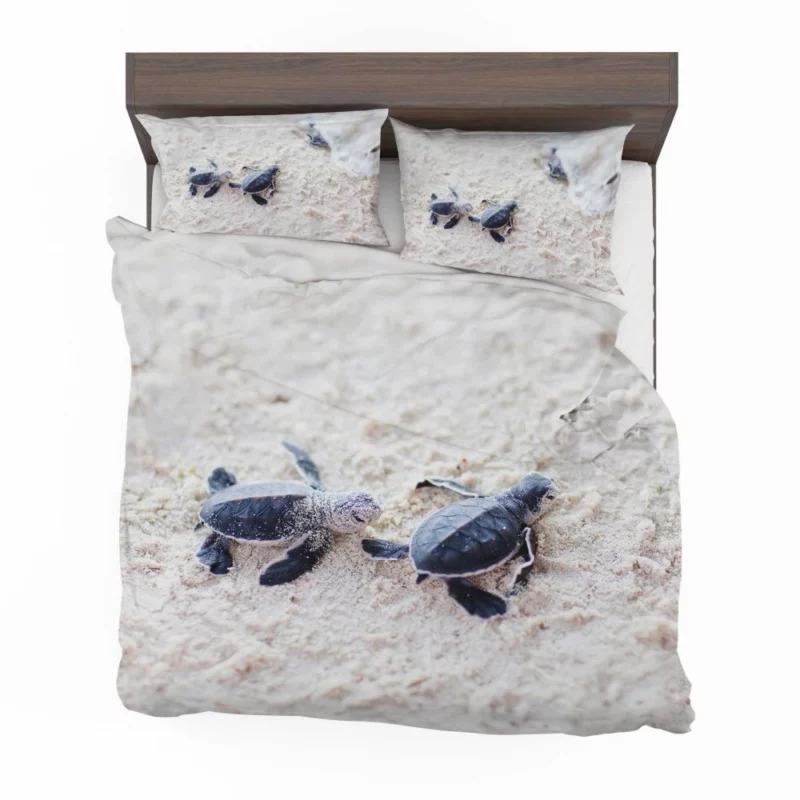 Turtle Baby Adventure Sandy Play Bedding Set 1