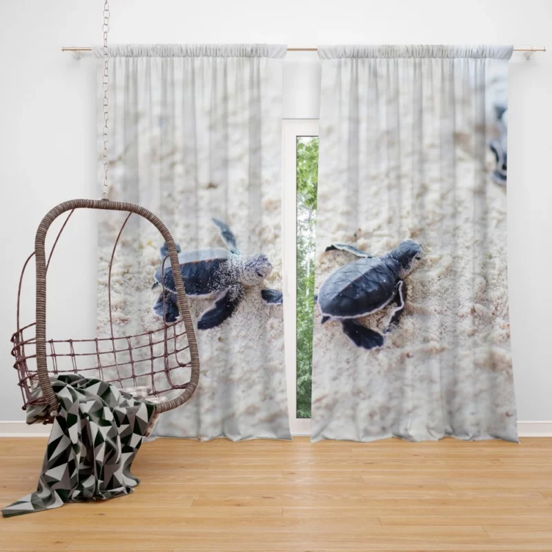 Turtle Baby Adventure Sandy Play Curtain