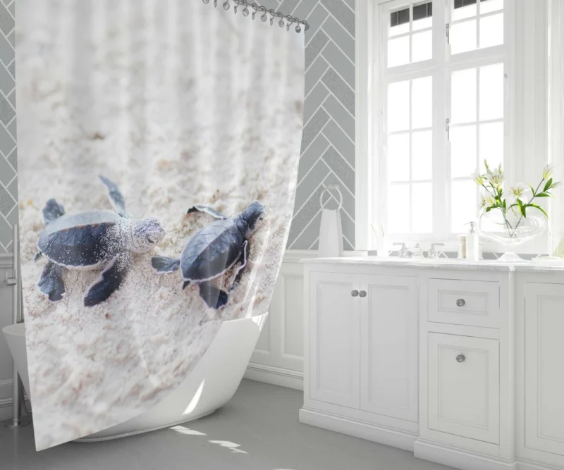 Turtle Baby Adventure Sandy Play Shower Curtain 1