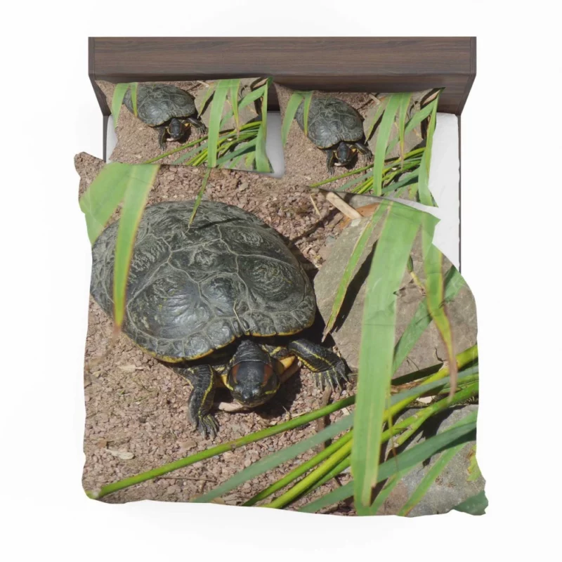 Turtle Tranquil Moment Aquatic Serenity Bedding Set 1