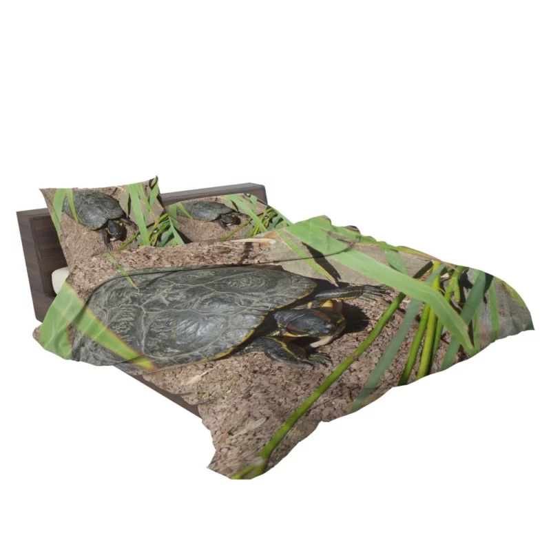 Turtle Tranquil Moment Aquatic Serenity Bedding Set 2