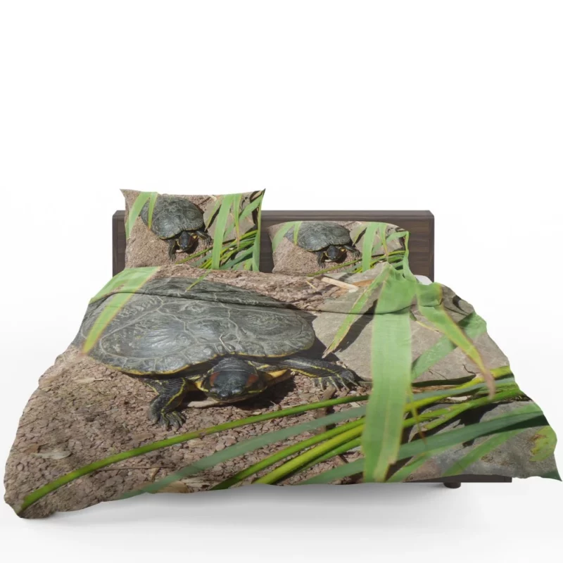 Turtle Tranquil Moment Aquatic Serenity Bedding Set