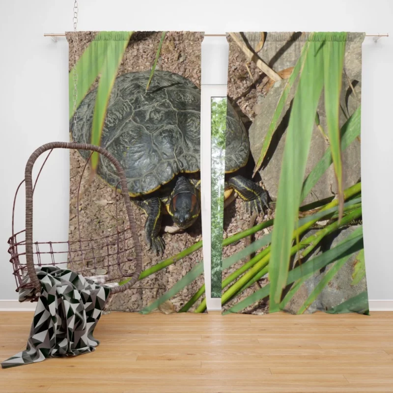 Turtle Tranquil Moment Aquatic Serenity Curtain