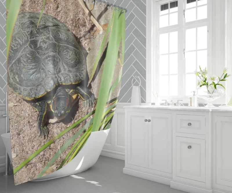 Turtle Tranquil Moment Aquatic Serenity Shower Curtain 1