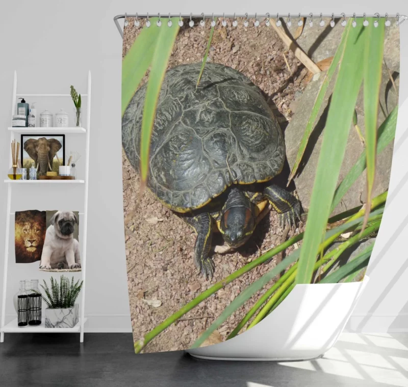 Turtle Tranquil Moment Aquatic Serenity Shower Curtain