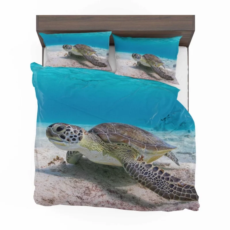 Turtle Underwater Adventure Sandy Realm Bedding Set 1