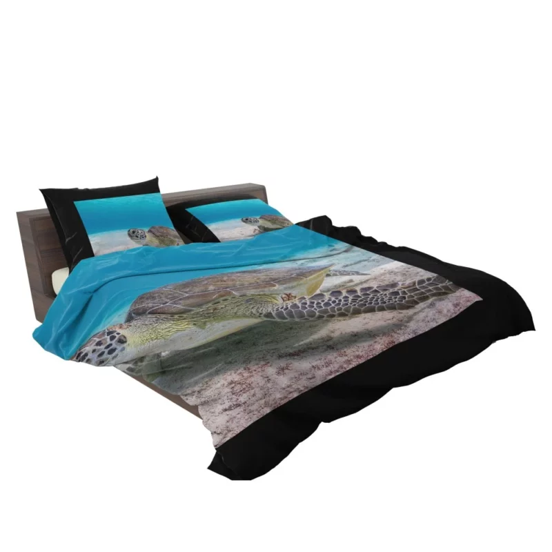 Turtle Underwater Adventure Sandy Realm Bedding Set 2