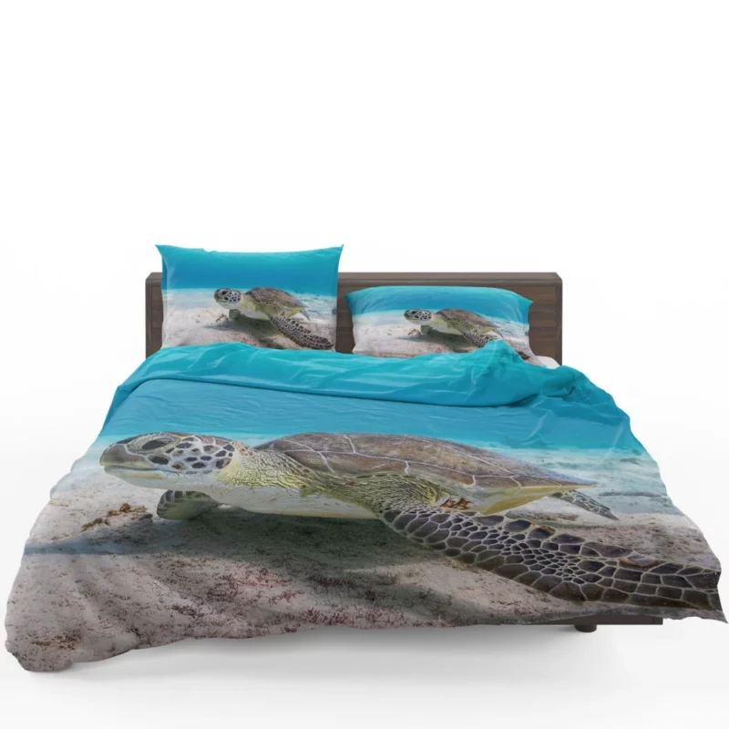 Turtle Underwater Adventure Sandy Realm Bedding Set