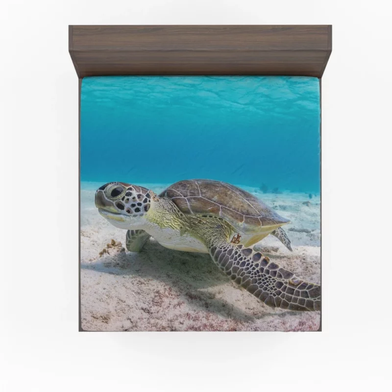 Turtle Underwater Adventure Sandy Realm Fitted Sheet 1