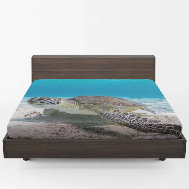 Turtle Underwater Adventure Sandy Realm Fitted Sheet