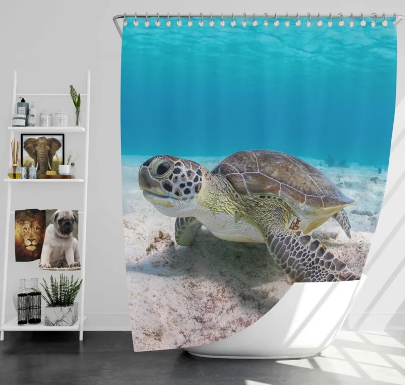 Turtle Underwater Adventure Sandy Realm Shower Curtain