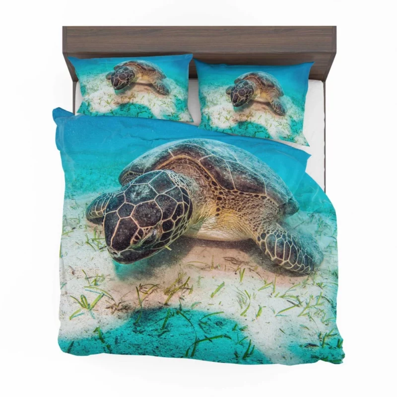 Turtle Underwater Adventure Serene Life Bedding Set 1