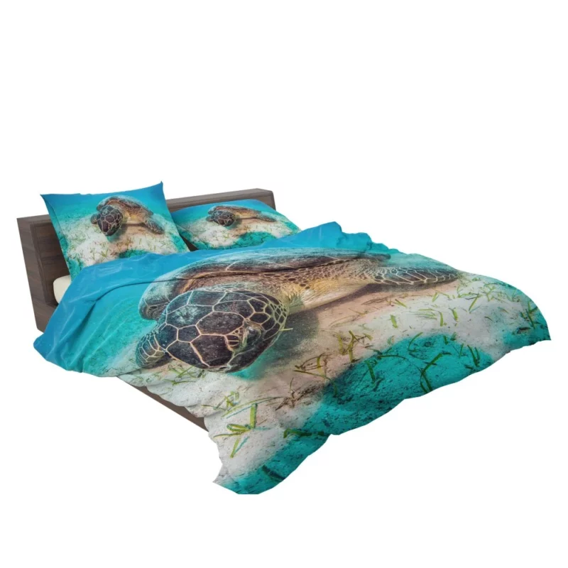 Turtle Underwater Adventure Serene Life Bedding Set 2