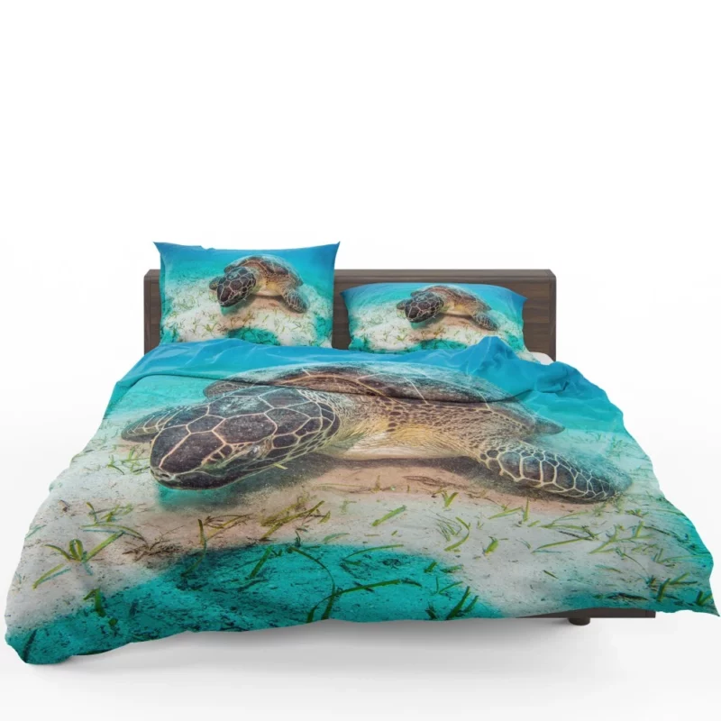 Turtle Underwater Adventure Serene Life Bedding Set