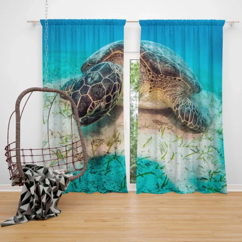 Turtle Underwater Adventure Serene Life Curtain