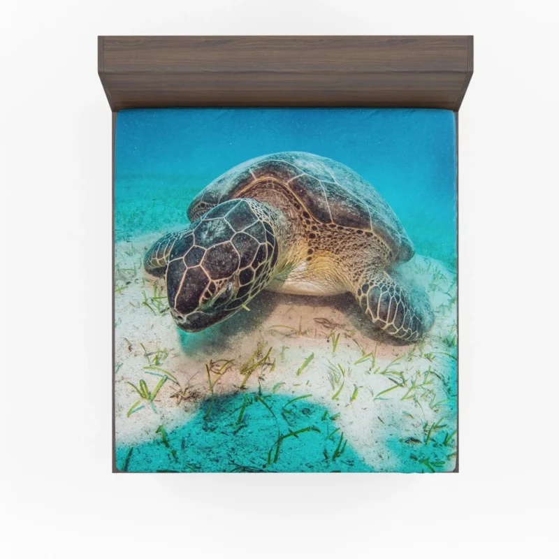 Turtle Underwater Adventure Serene Life Fitted Sheet 1