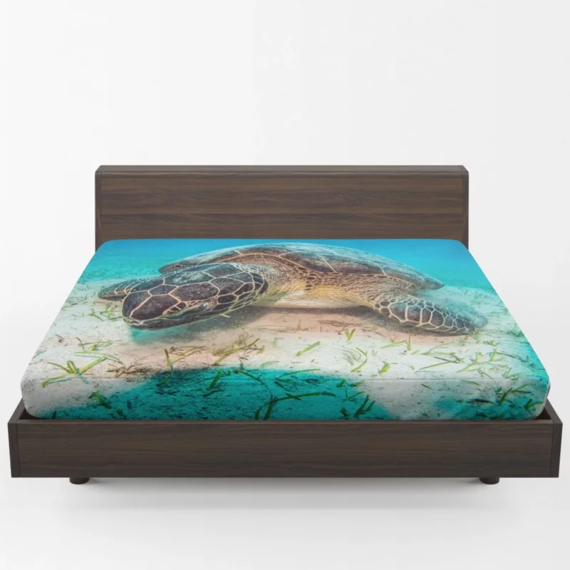 Turtle Underwater Adventure Serene Life Fitted Sheet