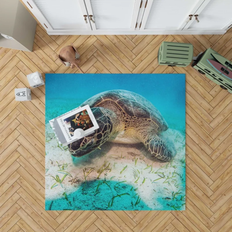 Turtle Underwater Adventure Serene Life Rug