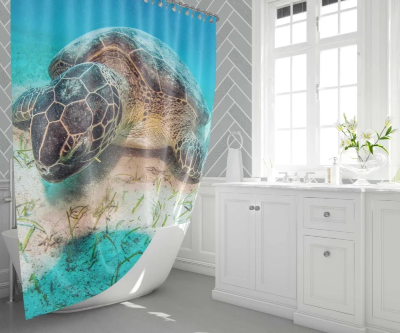 Turtle Underwater Adventure Serene Life Shower Curtain 1